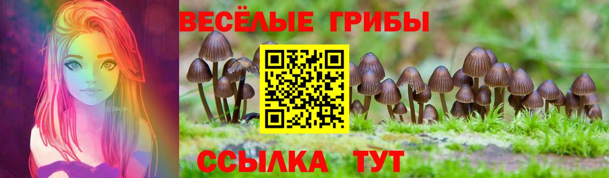 Галлюциногенные грибы Psilocybine cubensis  Вход с VPN  Псилоцибиновые грибы мицелий  Аргун 
